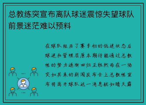 总教练突宣布离队球迷震惊失望球队前景迷茫难以预料