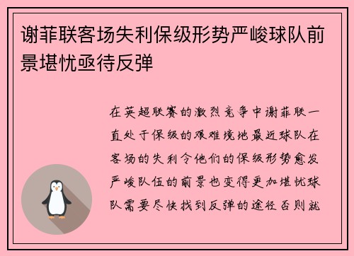 谢菲联客场失利保级形势严峻球队前景堪忧亟待反弹